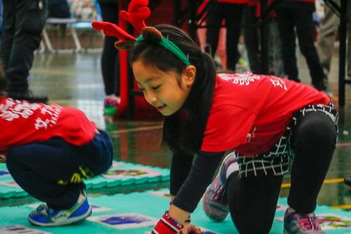 2017 christmas (142)