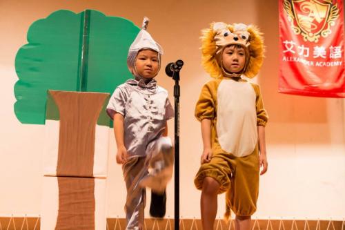 19243334 235353680312081 3610919726884358923 o