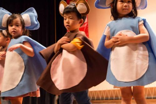 19250578 235402170307232 8211871774775035332 o