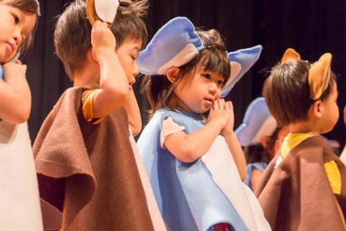 19417265 235407466973369 1432118683613577038 o