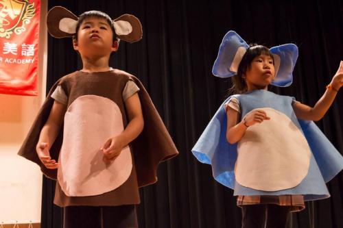 19417475 235398966974219 5454354032823039579 o