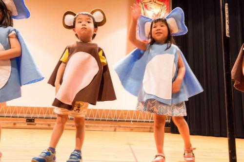 19417542 235393906974725 3777679400223410850 o