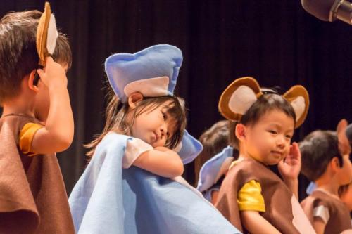 19441691 235400776974038 5483387279983418597 o