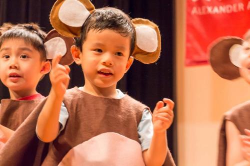 19453072 235400773640705 3467493831806504622 o