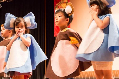 19466390 235402173640565 1606739527434109031 o