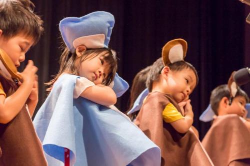 19467776 235400783640704 3746333478588758700 o