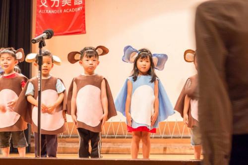 19467822 235404973640285 8448136451837337243 o