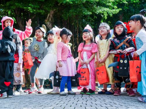 23000029 294268057753976 1212155997806096819 o