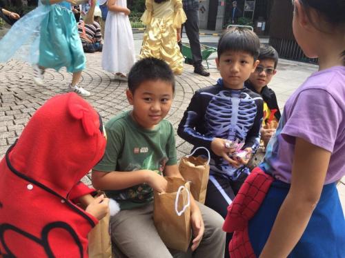 23116986 294703917710390 5394788184664087039 o