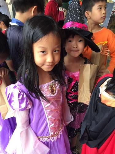 23117043 294703517710430 5076963914302108957 o