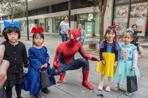 23117048 292990697881712 4220726073524982020 o