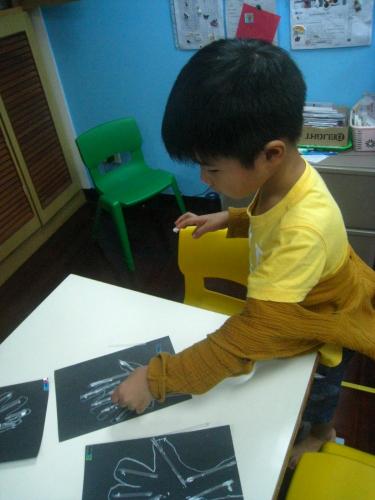 L2 Okapi 08.14-08 (27)