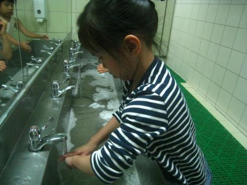 L2 Okapi 08.28-09 (4)