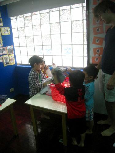 L2 Okapi 10.02-10 (4)