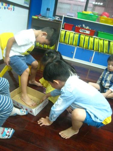 L2 Okapi 10.11-10 (15)