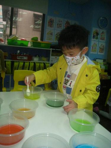 L2 Okapi 10.23-10 (17)